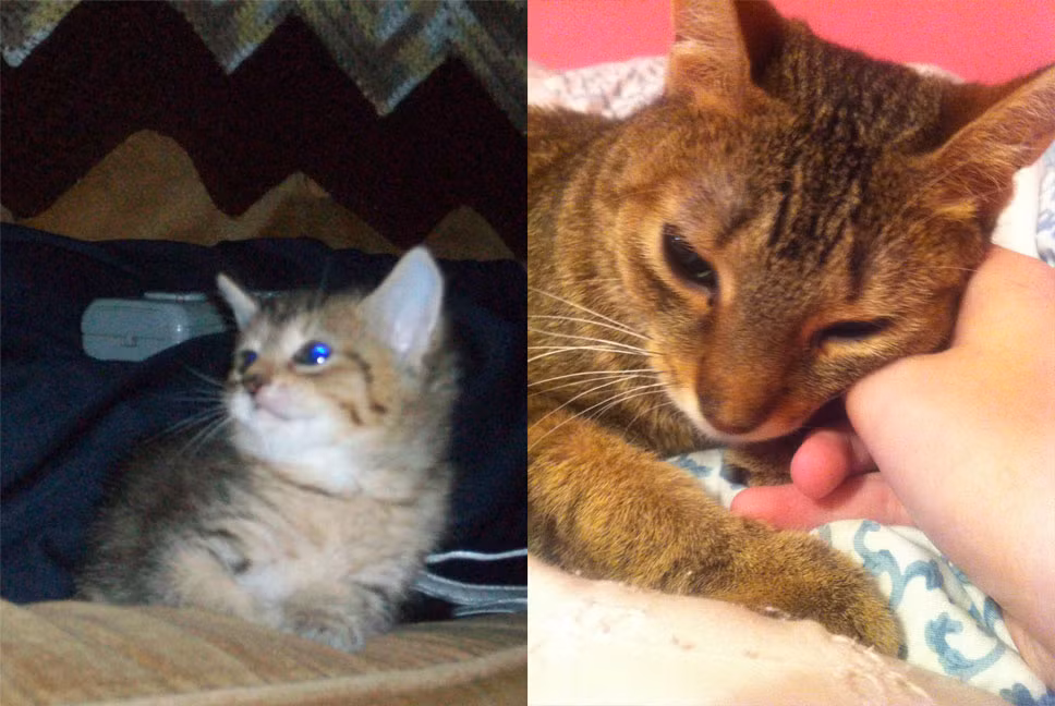 "Tôi yêu cô bé từ ngày cô ấy được sinh ra cho đến khi lìa đời".