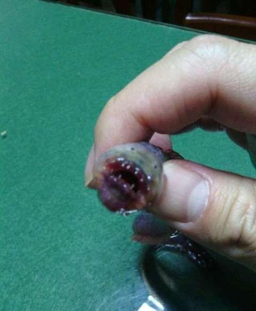 Loài cá này có thân hình dài, mảnh, không có vảy, mắt tiêu giảm và có răng lởm chởm ở miệng.