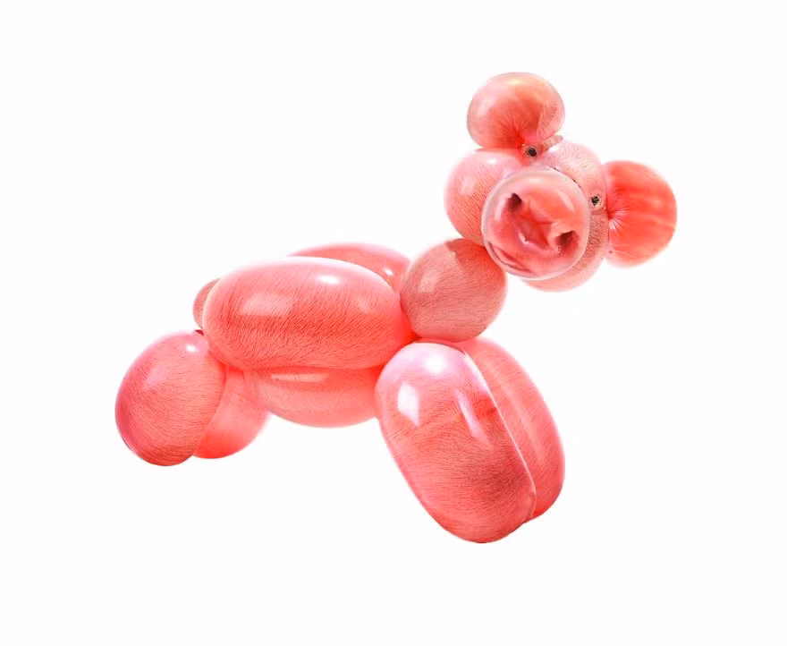 Mời bạn xem thêm một số sáng tạo khác: