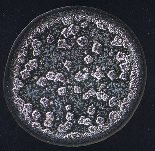 Các nhà khoa học đã xác định rằng các loại nước mắt khác nhau được tạo thành từ các phân tử riêng biệt. Và bởi vì nước mắt có chứa muối, chúng cũng rất khác nhau khi kết tinh và được soi dưới kính hiển vi.