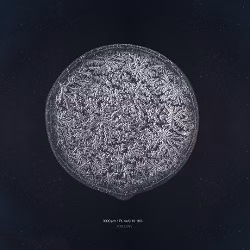 Giọt nước mắt khi cắt hành tây.