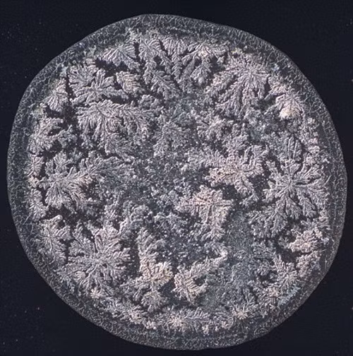 Đây là giọt nước mắt khi người ăn khóc vì ăn phải ớt quá cay.