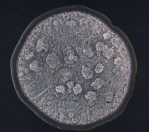 Giọt nước mắt khi cắt hành tây.