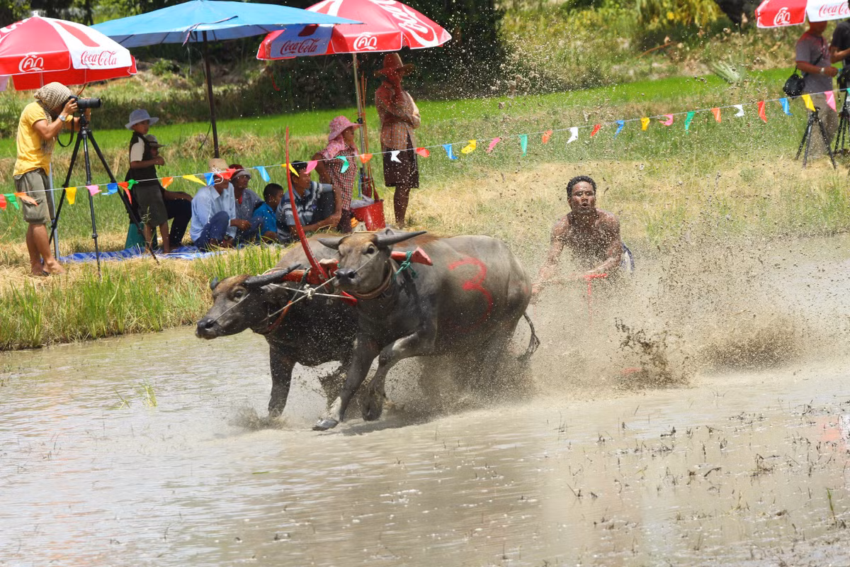 Xem thêm một số hình ảnh khác.