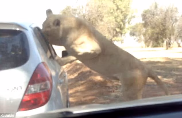 Hoang hon su tu treo xe tan cong du khach