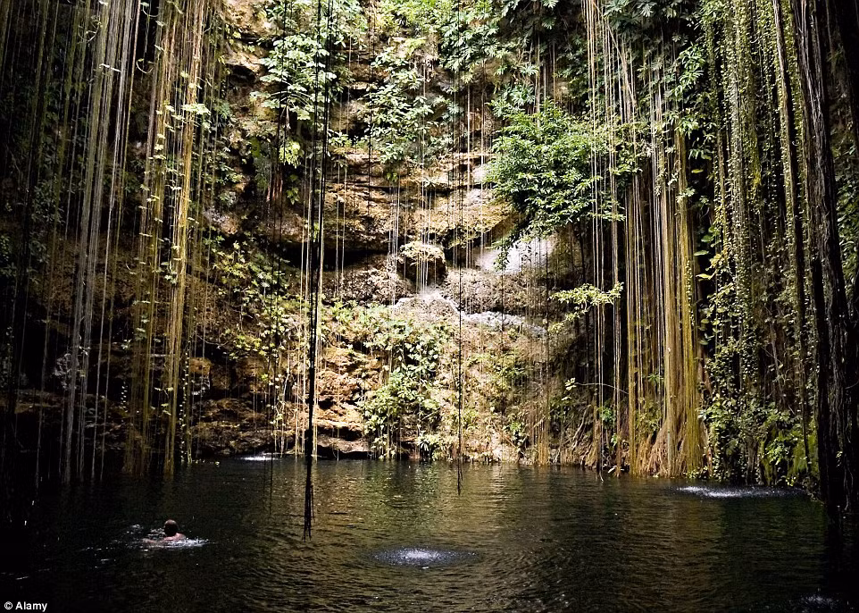 Hồ bơi Ik Kil, còn được gọi là giếng trời, nằm dưới hố sâu 40m của công viên khảo cổ Ik Kil, gần Chichen Itza, Mexico.