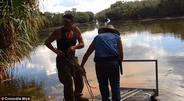Tuy nhiên, Mick cũng giải thích rằng mình không giết cá sấu một cách bừa bãi. "Tôi không ra ngoài và giết chúng bừa bãi, tôi chỉ săn và giết những con cá sấu hung ác lén bắt gia súc, gây nguy hiểm cho người và chó” ông nói. Mùa khô năm nay, ông được chính quyền cho phép bắt giết 30 con cá sấu gây hại.