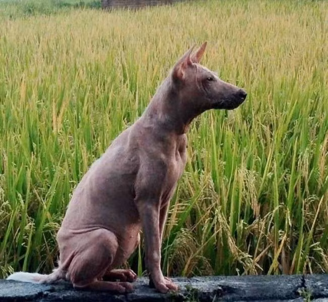 Cơ thể Kelsey dần dần hồi phục, các vết thương lành lại, cô nàng có thể vô tư chạy nhảy, hoạt động ngoài trời.