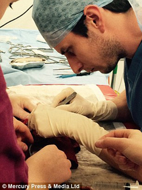 Không thể rời xa con cá cưng vốn đã gắn bó bấy lâu, Emma quyết định không tiếc tiền phẫu thuật cắt bỏ khối u cho nó.