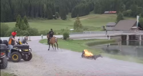 Joe Toedtling là một diễn viên đóng thế chuyên nghiệp, đã từng xuất hiện trong những bộ phim nổi tiếng Point Blank và Agent 47.