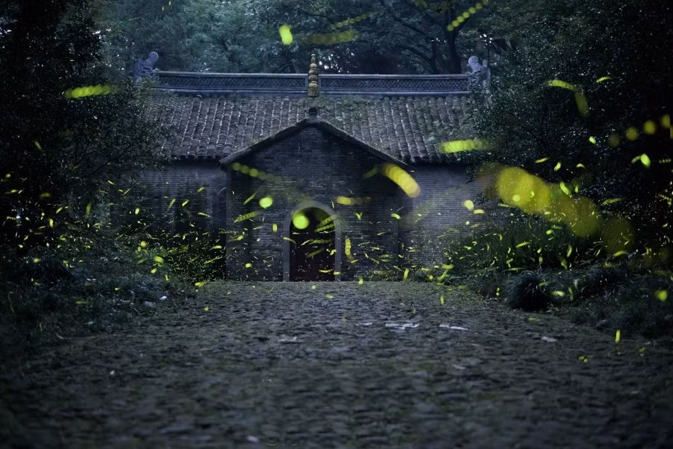 Vào đêm ngày 14/7 vừa qua nhiếp ảnh gia Tiny Bear đã chụp lại những cảnh tượng đẹp đến đáng ngạc nhiên về hiện tượng kỳ lạ này.