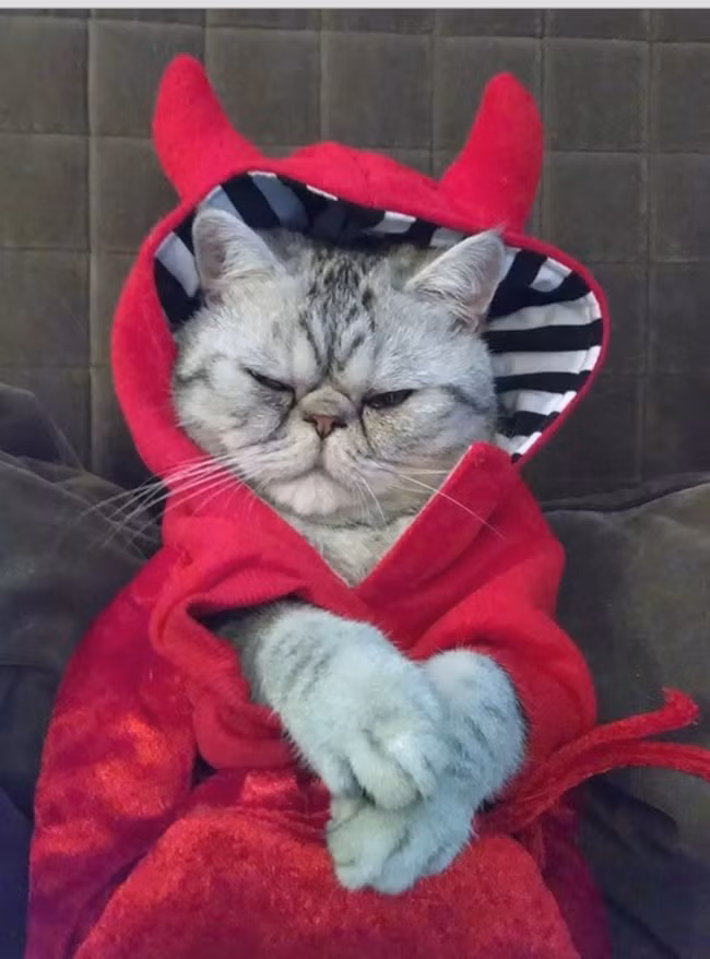 "Tôi không muốn nghe lại điều đó một lần nào nữa, rõ chưa?"