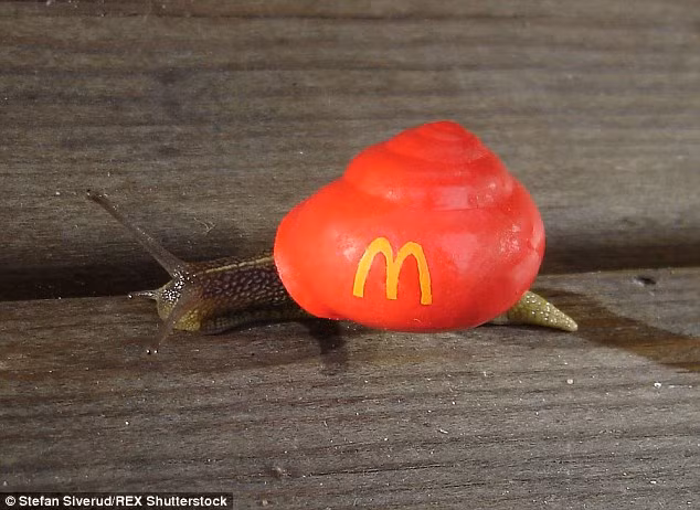 Người giao thức ăn cho hãng đồ ăn nhanh nổi tiếng McDonalds. Với người giao hàng này chắc khách hàng phải đặt hàng từ tuần trước.