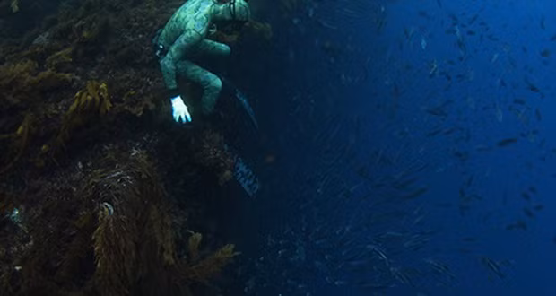 Bức tường ở St. Croix, U.S. Virgin Islands. Nơi đây không dành cho những thợ lặn sợ độ cao, đứng ở nơi này bạn có thể nhìn xuống hàng km, tới tận đáy biển bởi làn nước trong suốt.