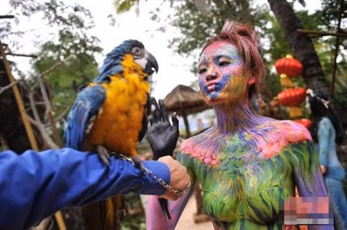 Nhiều du khách khi được chứng kiến những màn tương tác độc nhất vô nhị này đã cho rằng đây thực sự là phiên bản "Người đẹp và quái vật" trong đời thực.