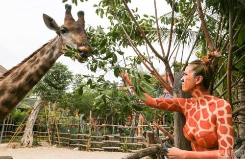 Theo một số thông tin, những cô gái trẻ này thực ra dàn người mẫu chuyên làm sự kiện được ban quản lý sở thú thuê để hóa thân, trình diễn, tương tác với động vật hoang dã trong sở thú nhằm thu hút sự chú ý của khách tham quan.