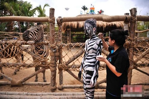 Sau khi những hình ảnh được đăng tải trên các trang tin của Trung Quốc đã dẫn đến nhiều luồng ý kiến trái chiều.