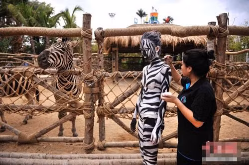 Sau khi những hình ảnh được đăng tải trên các trang tin của Trung Quốc đã dẫn đến nhiều luồng ý kiến trái chiều.