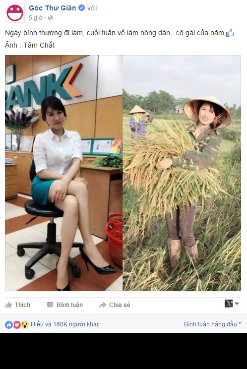 Trần Thị Tâm, sinh năm 1993 là một trong số những nhân vật “hot” nhất cộng đồng mạng Việt trong tuần qua. Sau bức ảnh mô tả sự đối lập trong hai công việc quen thuộc của mình, Trần Thị Tâm gây bão like và đươc đặt cho biệt danh “ hot girl gặt lúa”.