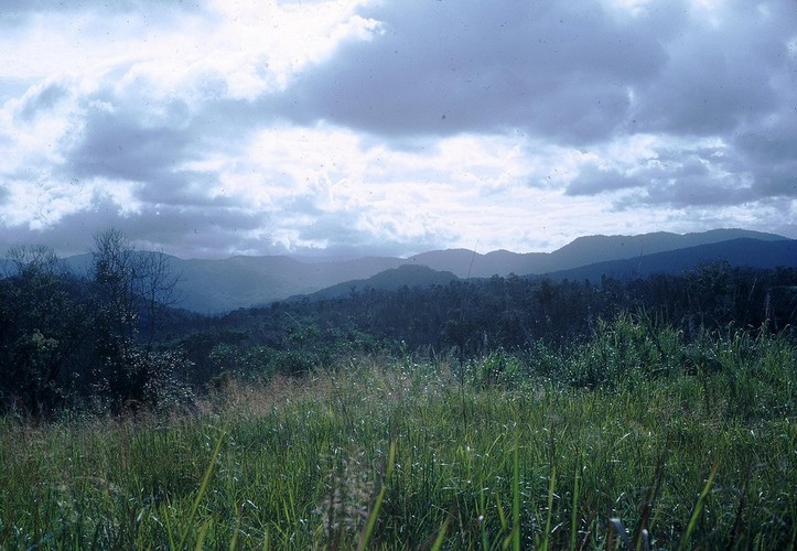 Trảng cỏ xanh mát ven đường đèo. Ảnh: Schneider / A70thvets.com.