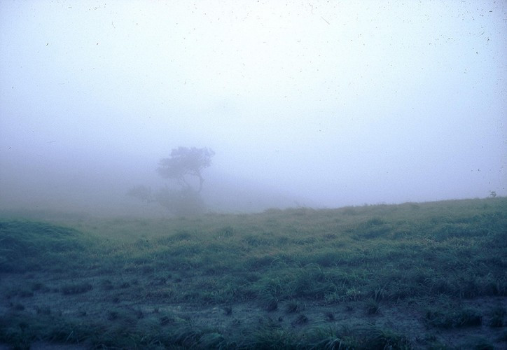 Sương mờ buông trên đèo. Ảnh: Schneider / A70thvets.com.