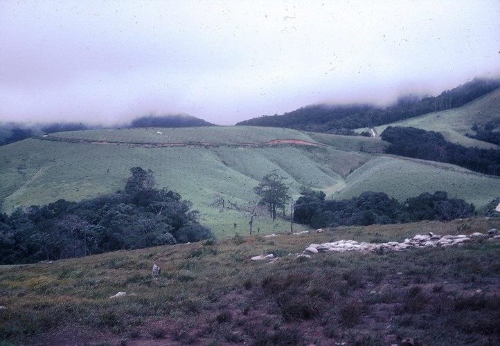 Một góc nhìn khác về khu nghĩa địa Pháp. Ảnh: Schneider / A70thvets.com.