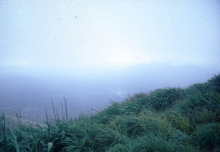 Thảm thực vật rậm rạp trên đèo. Ảnh: Schneider / A70thvets.com.