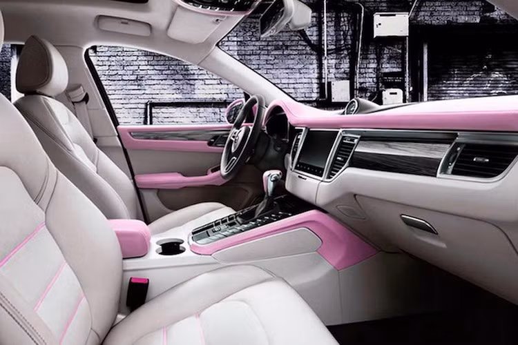 Dù đã copy khá hoàn hảo cả nội lẫn ngoại thất của chiếc xe sang Porsche Macan, Zotye vẫn không thể nhái được động cơ của Macan. Thay vào đó, chiếc SR9 chỉ được trang bị động cơ 4 xi-lanh tăng áp 190 mã lực có nguồn gốc từ Mitsubishi. Sức mạnh của động cơ được điều khiển bởi hộp số sàn 5 cấp hoặc tùy chọn số ly hợp kép 7 cấp.