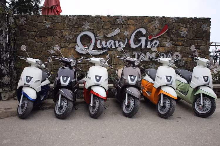 Nếu yêu cầu công suất cao hơn, khách hàng nên đợi phiên bản Django 150 có khả năng sẽ về Việt Nam. Cũng như Vespa Primavera 125, Django 125 được lắp ráp ở Việt Nam, chiếc xe sẽ được hãng xe máy Peugeot bán ra với giá từ 68,5 - 69,8 triệu đồng tùy từng bản màu sắc.