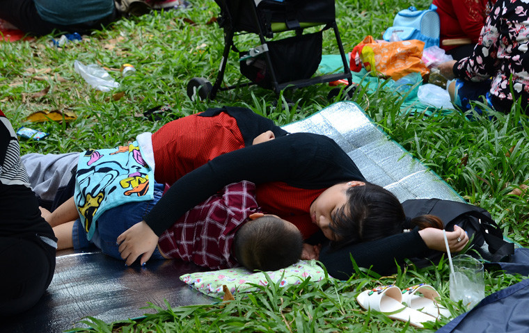 Có bé ngủ ngon lành sau nhiều giờ vui chơi tại Thảo Cầm Viên.