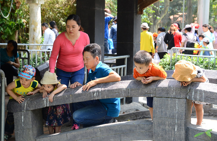 Trẻ nhỏ vô cùng háo hức, thích thú khi được tận mắt nhìn thấy những loài thú vốn chỉ từng nghe qua, như Cọp, Beo, Gấu, Voi...