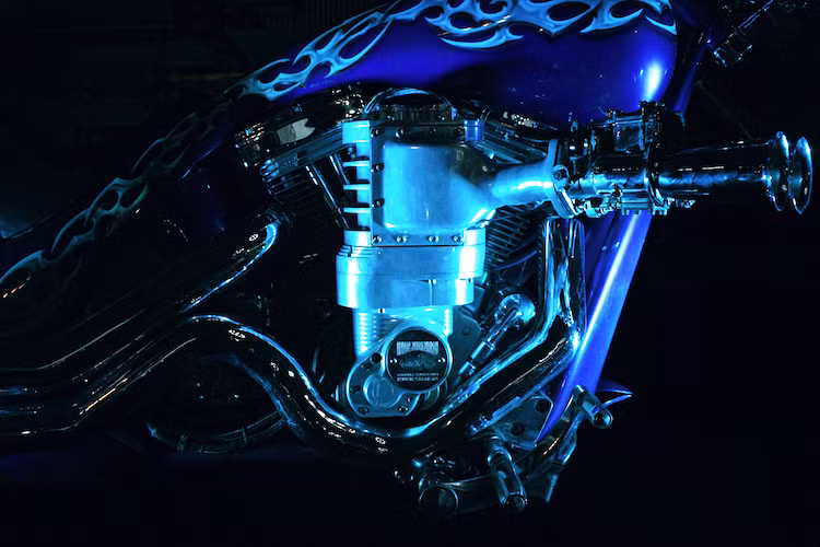 Những dòng xe của Big Dog dựa trên các dòng Harley Davidson trên thị trường, nhưng sở hữu kiểu dáng như xe độ. Tuy nhiên riêng với chiếc Big Dog Custom One này, chủ nhân của nó đã không sử dụng máy Harley, thay vào đó là cục máy V-Twin với dung tích "khủng" 2000 cc tới từ hãng động cơ S&amp;S của Mỹ.