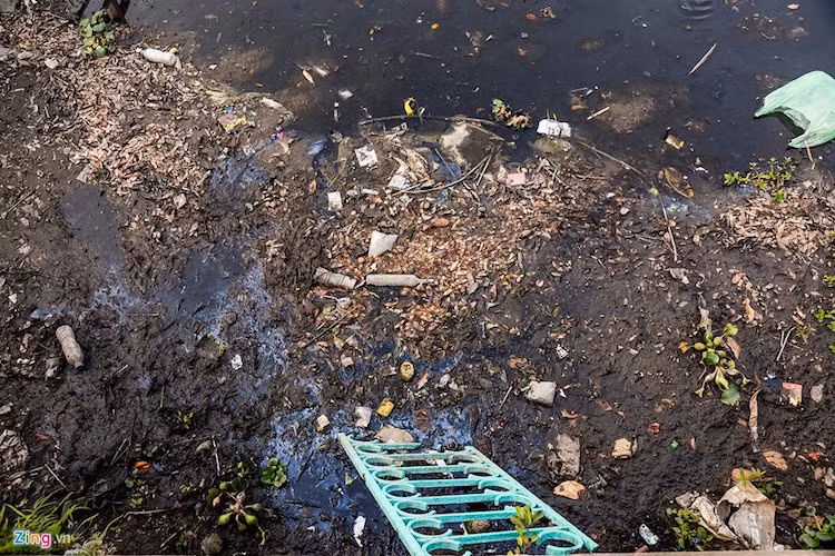 Hoạt động của các nhà hàng này gây mất mỹ quan, đặc biệt ảnh hưởng ô nhiễm môi trường nước hồ Tây. Các bến đỗ nhếch nhác, bẩn thỉu bởi rác thải vứt xuống.