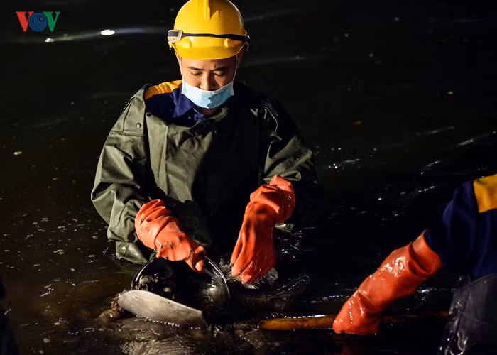 Công nhân xuống trực tiếp hồ để nạo vét thủ công.