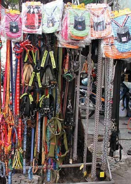 Dao quanh cho thu cung lon nhat Sai Gon-Hinh-2