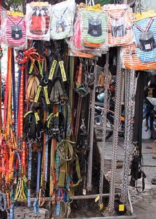 Dao quanh cho thu cung lon nhat Sai Gon-Hinh-2