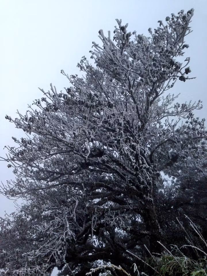 Ngoài Cao Bằng, hiện tượng băng giá cũng đã xuất hiện ở Sa Pa (Lào Cai), Đồng Văn (Hà Giang).