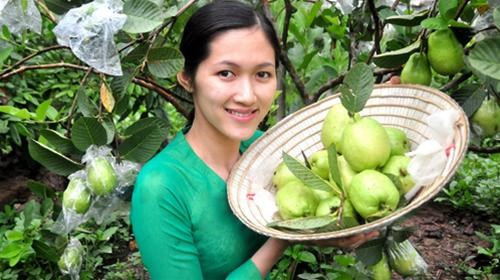 Phong Dien, xu so cua nguoi dep it ai biet-Hinh-3