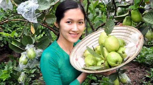 Phong Dien, xu so cua nguoi dep it ai biet-Hinh-3