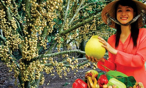 Phong Dien, xu so cua nguoi dep it ai biet