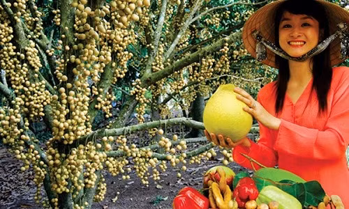 Phong Dien, xu so cua nguoi dep it ai biet