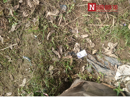 Kinh hai rau muong tuoi nuoc cong duoc ban o Ha Noi-Hinh-5