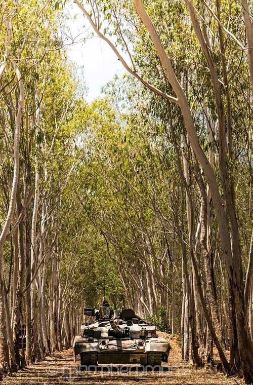 Quân đội Thái Lan dự định trang bị T-84 Oplot-T cho Tiểu đoàn Kị binh số 2 (Vệ binh Hoàng gia ở Fort Chakrabongse, Prachinburi), Tiểu đoàn kị binh số 4 (Vệ binh Hoàng gia ở Kiakkai, Bangkok), Tiểu đoàn kị binh số 8 (ở Suranari, Nakhon Ratchasima), tiểu đoàn kị binh số 9 (Phitasnuloke).