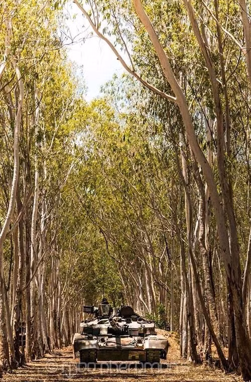 Quân đội Thái Lan dự định trang bị T-84 Oplot-T cho Tiểu đoàn Kị binh số 2 (Vệ binh Hoàng gia ở Fort Chakrabongse, Prachinburi), Tiểu đoàn kị binh số 4 (Vệ binh Hoàng gia ở Kiakkai, Bangkok), Tiểu đoàn kị binh số 8 (ở Suranari, Nakhon Ratchasima), tiểu đoàn kị binh số 9 (Phitasnuloke).