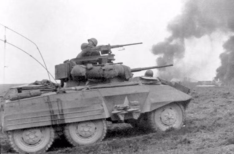 Trong biên chế Quân đội Mỹ và Anh, M8 chủ yếu được sử dụng cho nhiệm vụ trinh sát tiền tuyến đòi hỏi tốc độ cao, nhanh nhẹn. Để làm được vai trò đó, M8 phải chấp nhận lược bỏ hoàn toàn giáp bảo vệ và hỏa lực.