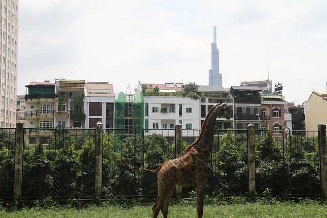Thảo Cầm Viên nằm tại trung tâm Q.1, nơi được nhiều gia đình, bạn trẻ lựa chọn là điểm đến trong những kỳ nghỉ ngắn ngày.