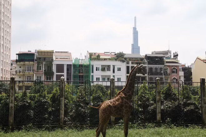 Thảo Cầm Viên nằm tại trung tâm Q.1, nơi được nhiều gia đình, bạn trẻ lựa chọn là điểm đến trong những kỳ nghỉ ngắn ngày.