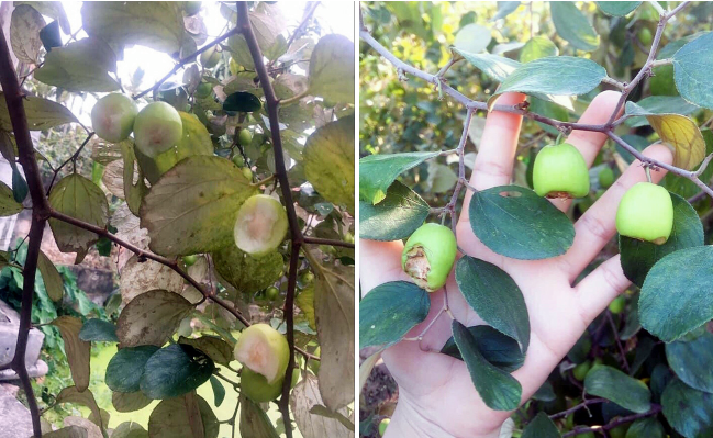 Những hành động với ý thức kém này vẫn đang nhận được chia sẻ kèm theo sự bức xúc, phẫn nộ của cộng đồng mạng.