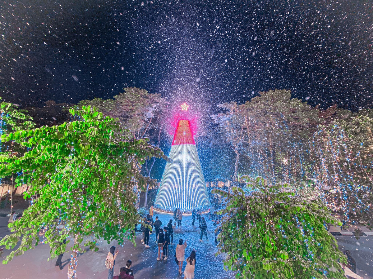 Đại học Thăng Long là một trong số ít các trường cực đầu tư cho việc trang trí Giáng sinh.