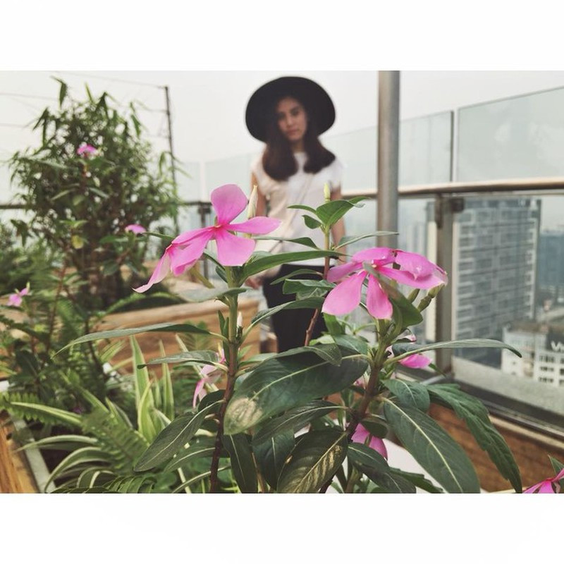 Lấy nét "căng đét" vào bông hoa này cơ mà. Ảnh: Tổng hợp Facebook